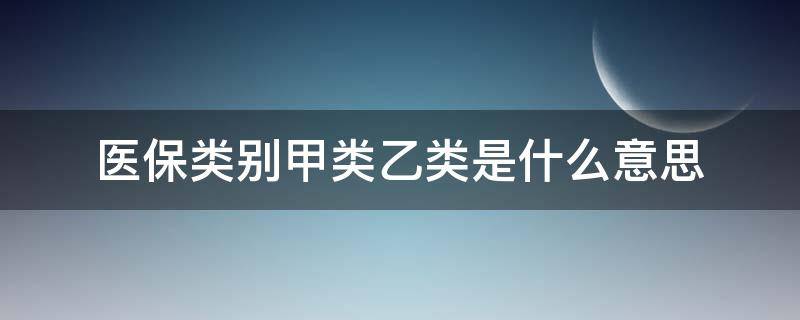 医保类别甲类乙类是什么意思（医保什么是甲类什么是乙类）