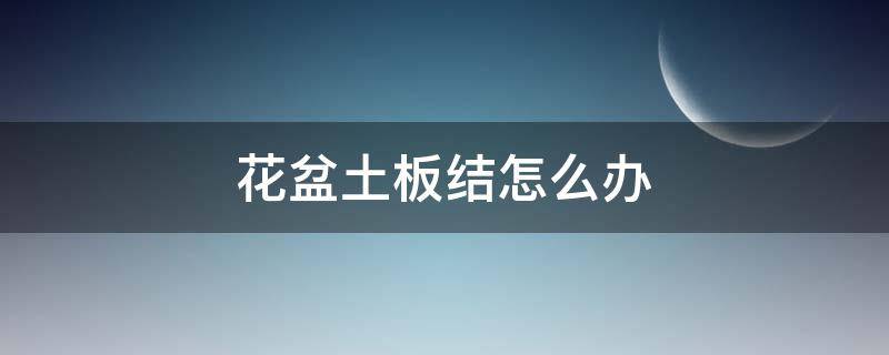 花盆土板结怎么办 栀子花盆土板结怎么办