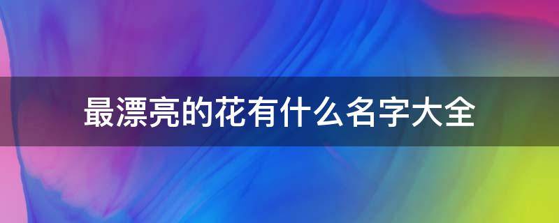 最漂亮的花有什么名字大全 最漂亮的花的名字