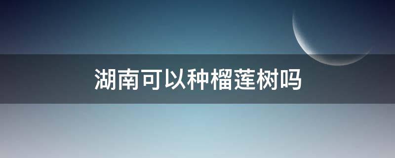 湖南可以种榴莲树吗（榴莲树能在湖南生长吗）