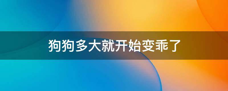 狗狗多大就开始变乖了 狗狗多大开始变得乖巧