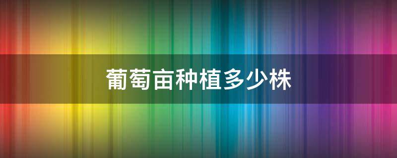 葡萄亩种植多少株 葡萄园一亩种多少株