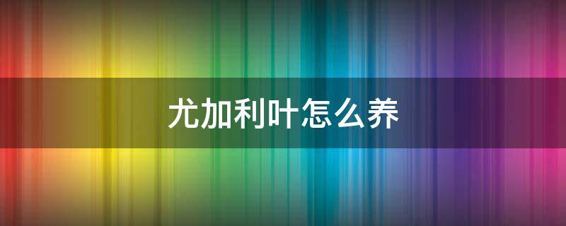 尤加利叶怎么养 网上买的尤加利叶怎么养