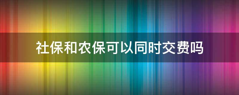 社保和农保可以同时交费吗 社保和农村医保可以同时交吗