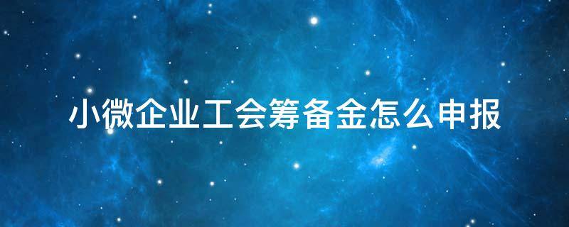 小微企业工会筹备金怎么申报（小规模纳税人工会筹备金怎么申报）