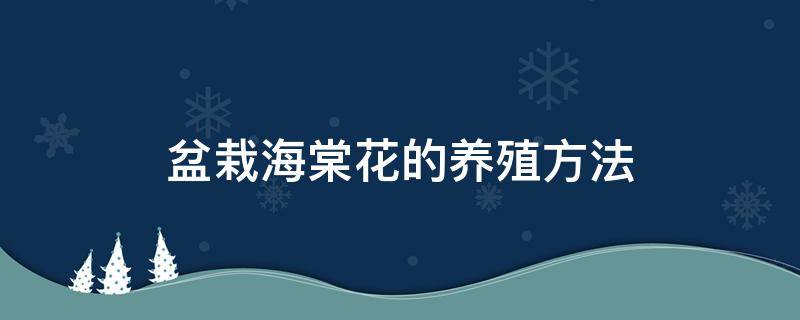 盆栽海棠花的养殖方法 盆栽海棠花的养殖方法介绍