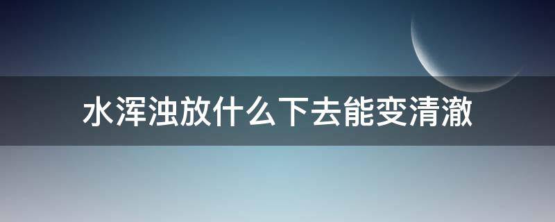 水浑浊放什么下去能变清澈（虾塘水浑浊放什么下去能变清澈）