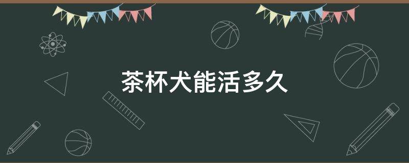 茶杯犬能活多久 宠物茶杯犬能活多久