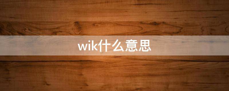 wik什么意思 wink什么意思