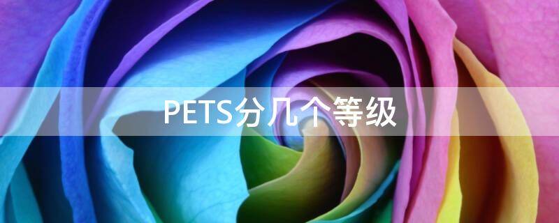 PETS分几个等级（pets等级怎么划分）