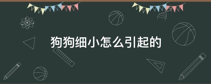 狗狗细小怎么引起的（狗狗犬细小一般是怎样引起的）