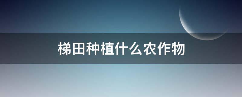 梯田种植什么农作物 云南梯田种植什么农作物