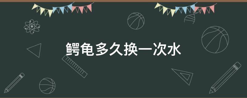 鳄龟多久换一次水 鳄龟多久换一次水好