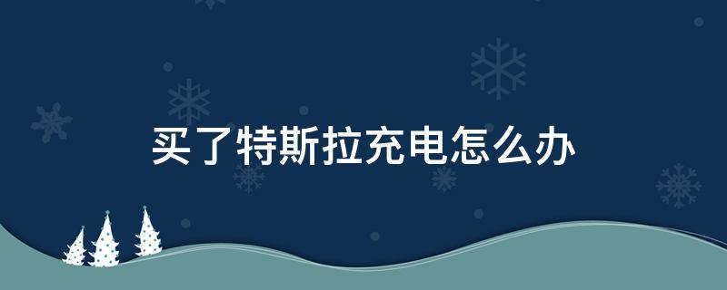 买了特斯拉充电怎么办 购买特斯拉充电怎么办