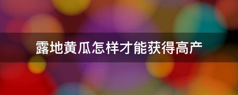 露地黄瓜怎样才能获得高产 黄瓜露地高产栽培技术