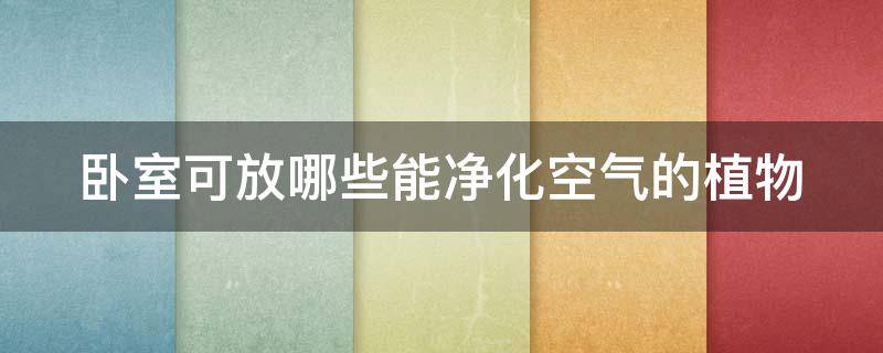 卧室可放哪些能净化空气的植物 卧室净化空气最好的绿植