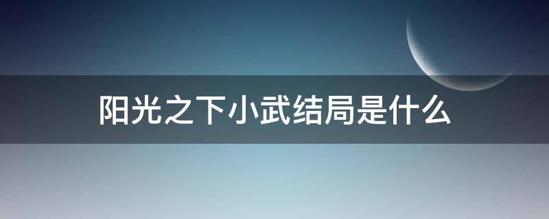 阳光之下小武结局是什么（阳光之下为什么小武是男主）