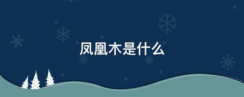 凤凰木是什么（凤凰木是什么木）