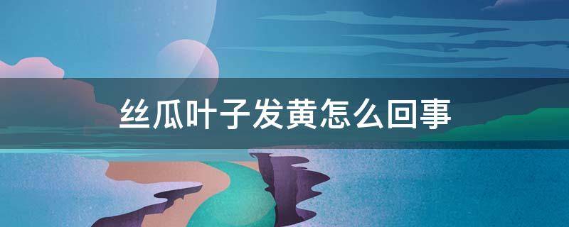 丝瓜叶子发黄怎么回事 丝瓜叶子发黄怎么办
