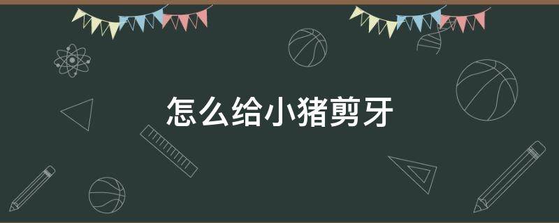 怎么给小猪剪牙（怎么给小猪剪牙齿?）