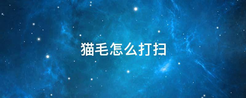 猫毛怎么打扫（猫毛怎么打扫干净）