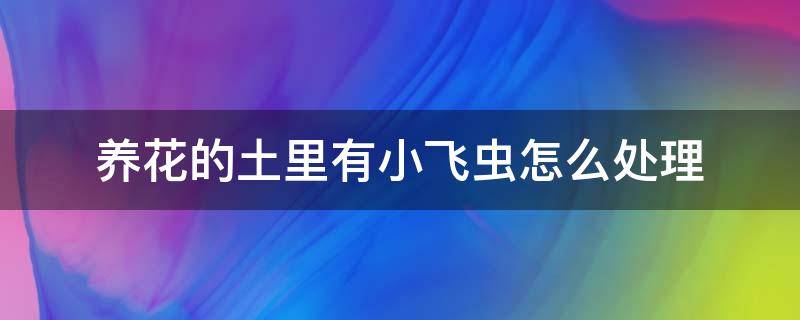 养花的土里有小飞虫怎么处理（养花土里有飞虫子怎么办）