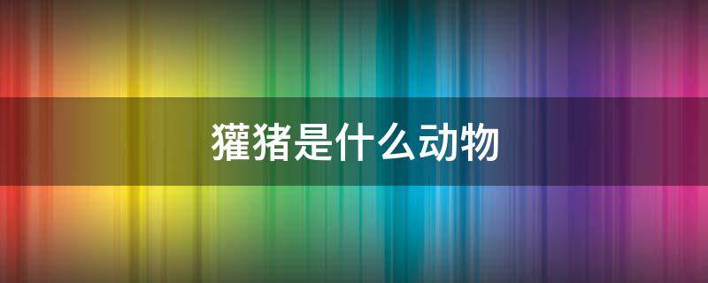 獾猪是什么动物 猪獾学名叫什么