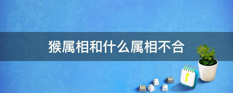 猴属相和什么属相不合（属猴的跟什么属相不合）