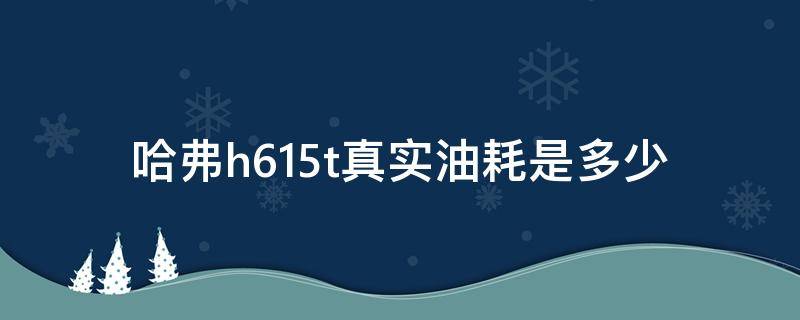 哈弗h61.5t真实油耗是多少（新1.5t哈弗h6真实油耗）