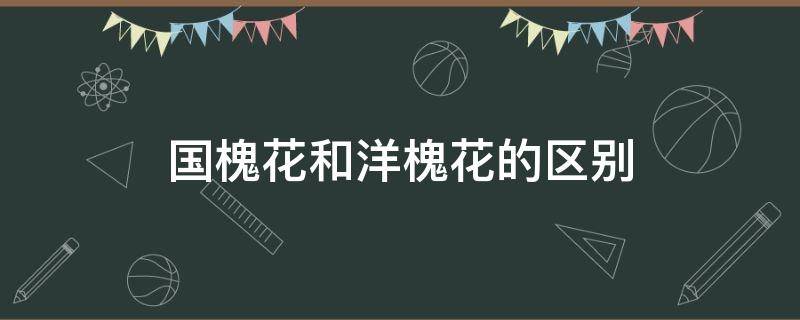 国槐花和洋槐花的区别（洋槐花与槐花的区别）