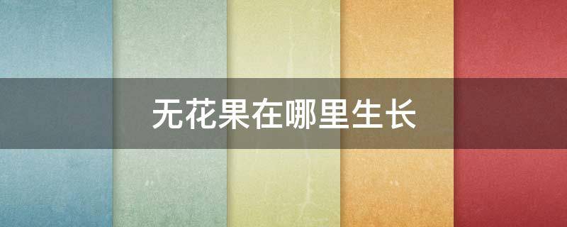 无花果在哪里生长（无花果主要生长在哪个地方）