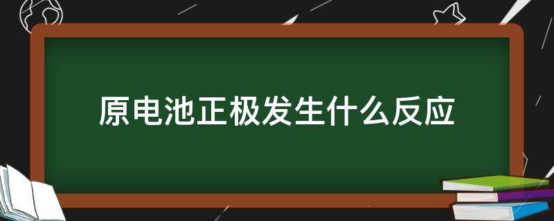 原电池正极发生什么反应 铜锌原电池正极发生什么反应