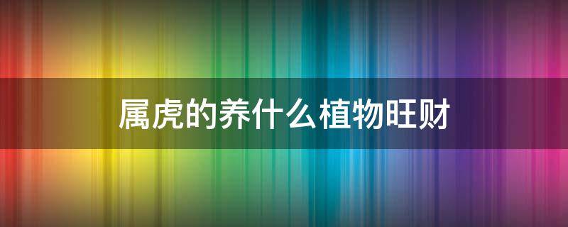 属虎的养什么植物旺财 属虎的养什么绿植旺财