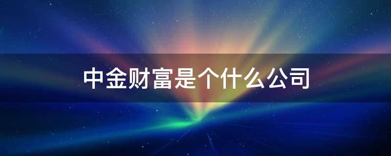 中金财富是个什么公司（中金财富属于哪个集团的）