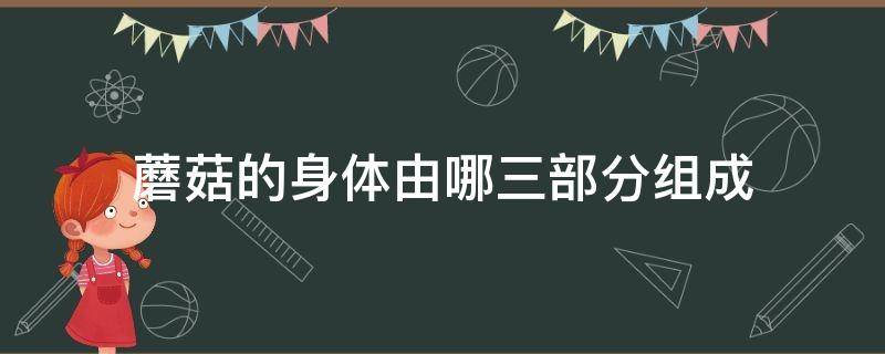 蘑菇的身体由哪三部分组成（蘑菇的身体由哪三部分组成?）