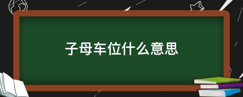 子母车位什么意思（子母车位什么意思可以停）
