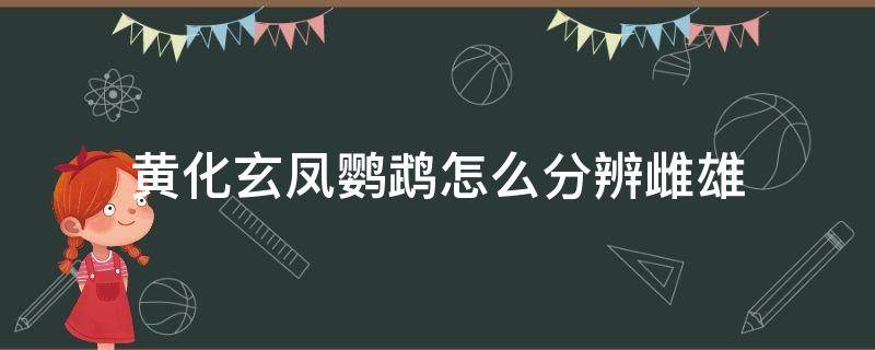 黄化玄凤鹦鹉怎么分辨雌雄 黄化玄凤鹦鹉雌雄区别图