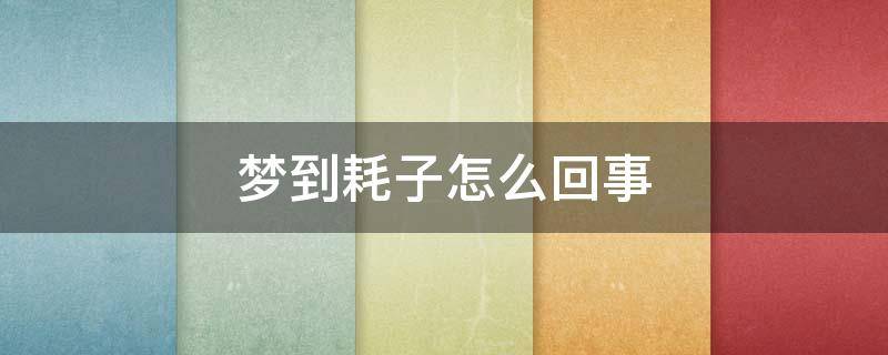 梦到耗子怎么回事（做梦梦到了耗子是什么情况）