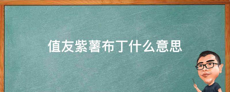值友紫薯布丁什么意思 什么叫紫薯布丁