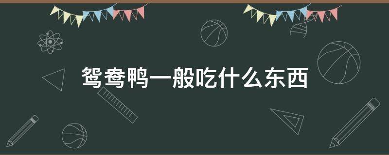 鸳鸯鸭一般吃什么东西（鸳鸯鸭怎么吃最好吃）