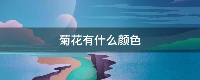 菊花有什么颜色（小雏菊花有什么颜色）
