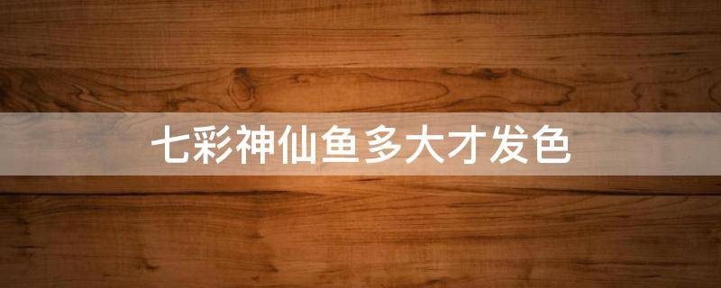 七彩神仙鱼多大才发色（七彩神仙鱼多大变色）