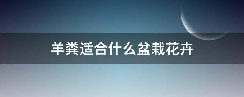 羊粪适合什么盆栽花卉（羊粪土适合养什么花?）