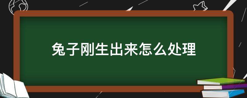 兔子刚生出来怎么处理 兔子刚生完怎么处理