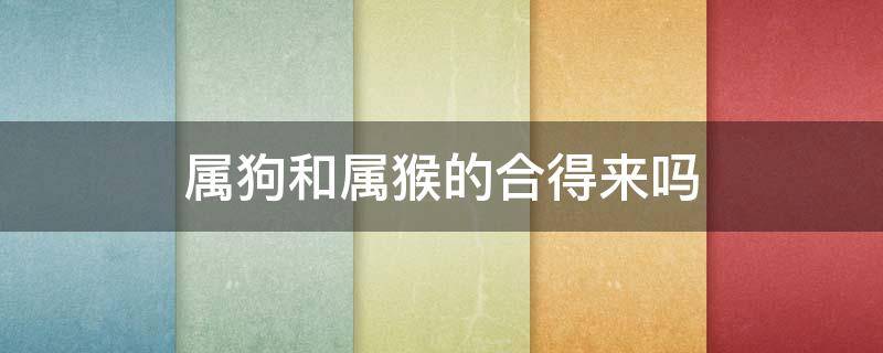 属狗和属猴的合得来吗 属狗的和属猴的合得来吗