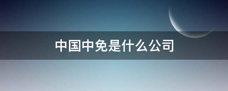中国中免是什么公司（中国中免公司简介）