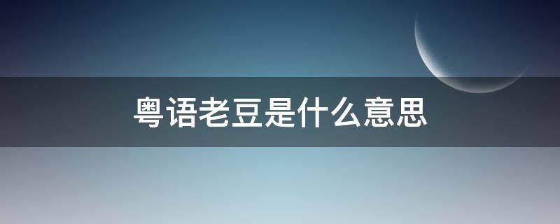 粤语老豆是什么意思（粤语老豆是啥意思）