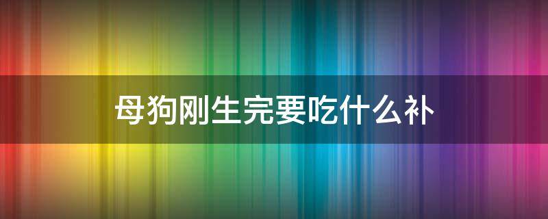 母狗刚生完要吃什么补（刚生完小狗的母狗吃什么食物最补钙）