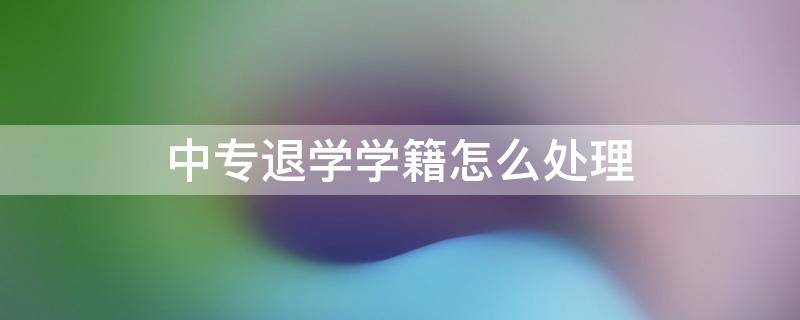 中专退学学籍怎么处理 中专可以退学籍吗