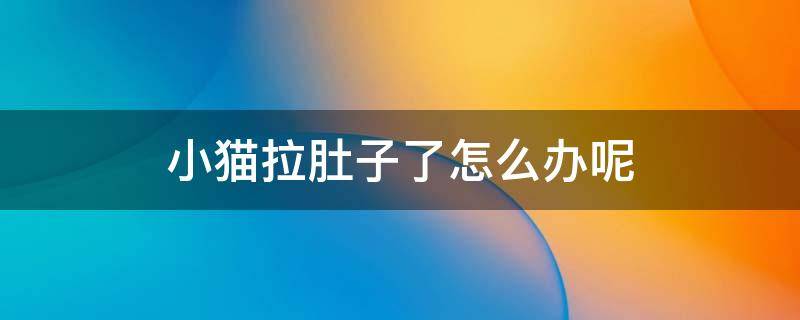 小猫拉肚子了怎么办呢（哺乳期小猫拉肚子了怎么办呢）